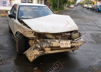 Cae árbol en un carro
