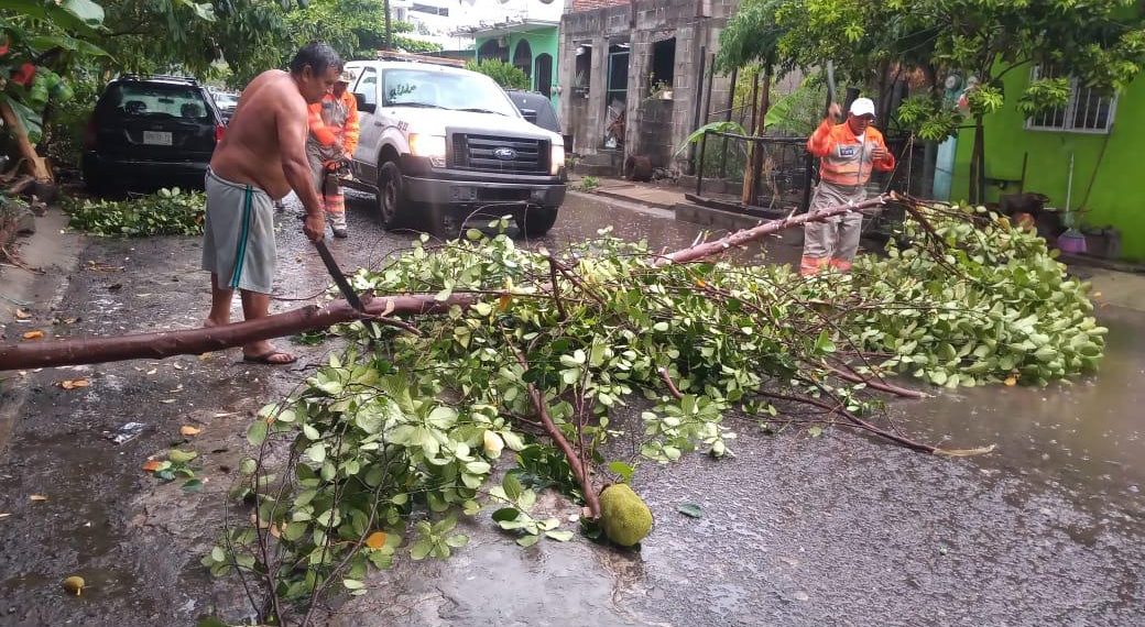 PROTECCIÓN CIVIL MUNICIPAL ATIENDE AFECTACIONES MENORES POR VIENTOS FUERTES