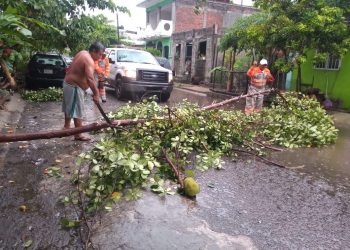 PROTECCIÓN CIVIL MUNICIPAL ATIENDE AFECTACIONES MENORES POR VIENTOS FUERTES