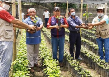 Con Las Medidas Sanitarias, Continúa Avanzando Programa Sembrando Vida