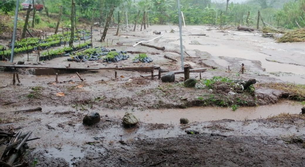SSyPC participó en traslado de personas afectadas por las lluvias a albergues en el Soconusco