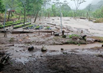 SSyPC participó en traslado de personas afectadas por las lluvias a albergues en el Soconusco
