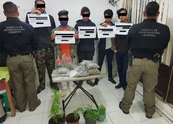 FGR asegura droga en San Cristóbal de las Casas