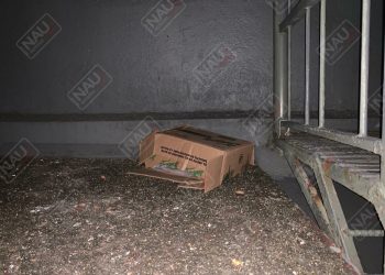 Localizan feto de 22 semanas afuera de un Oxxo en Tapachula