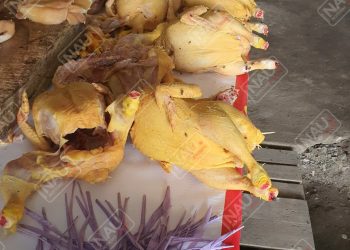 Incrementa precio del pollo