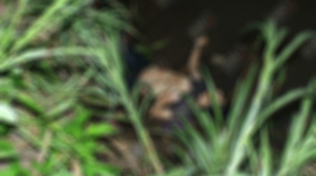 Asesinan a balazos a un salvadoreño