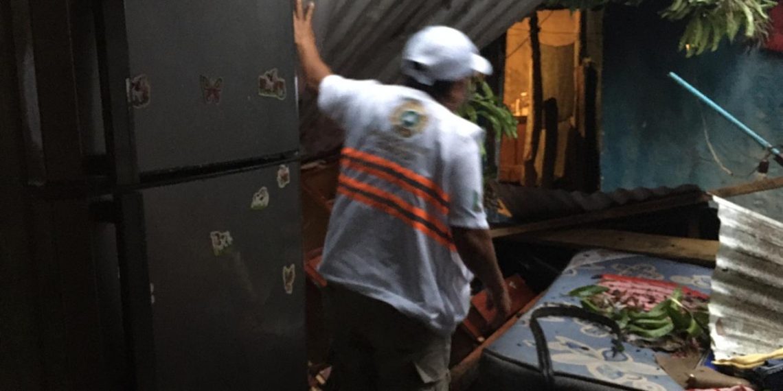 ATIENDE PC CAÍDA DE ÁRBOL EN VIVIENDA