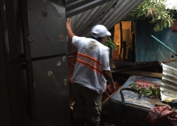 ATIENDE PC CAÍDA DE ÁRBOL EN VIVIENDA