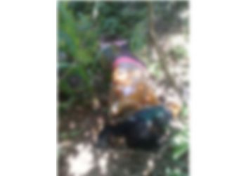 Sin identificar la joven asesinada a machetazos en Frontera Hidalgo