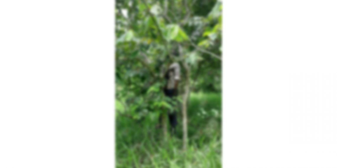 Desde hace tres días se quitó la vida ahorcándose en un árbol de caulote