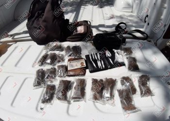 Aseguran de nueva cuenta al Nica