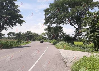 Roban 3 mil 520 pollos que iban en 176 rejas en el libramiento sur oriente