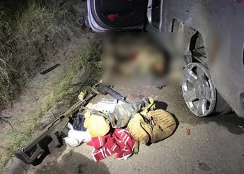 Solamente la puntita