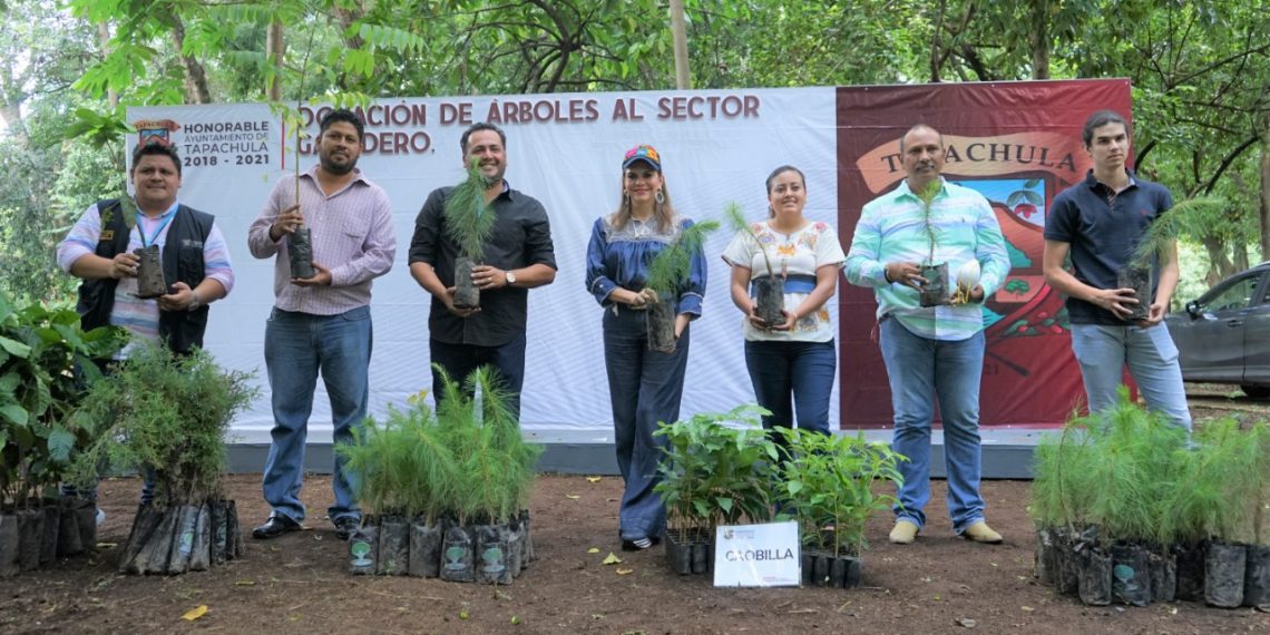 Ayuntamiento De Tapachula Dona Árboles Maderables Y Frutales Al Sector Ganadero Local