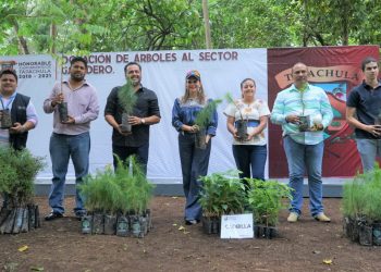 Ayuntamiento De Tapachula Dona Árboles Maderables Y Frutales Al Sector Ganadero Local