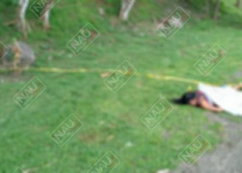 Muere señora al ser atropellada en la carretera Costera