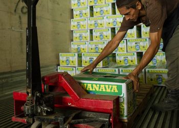 Aprovechar Nuevos Mercados Internacionales: CACH