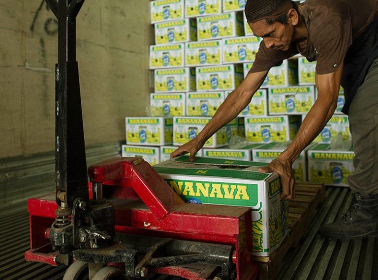 Aprovechar Nuevos Mercados Internacionales: CACH