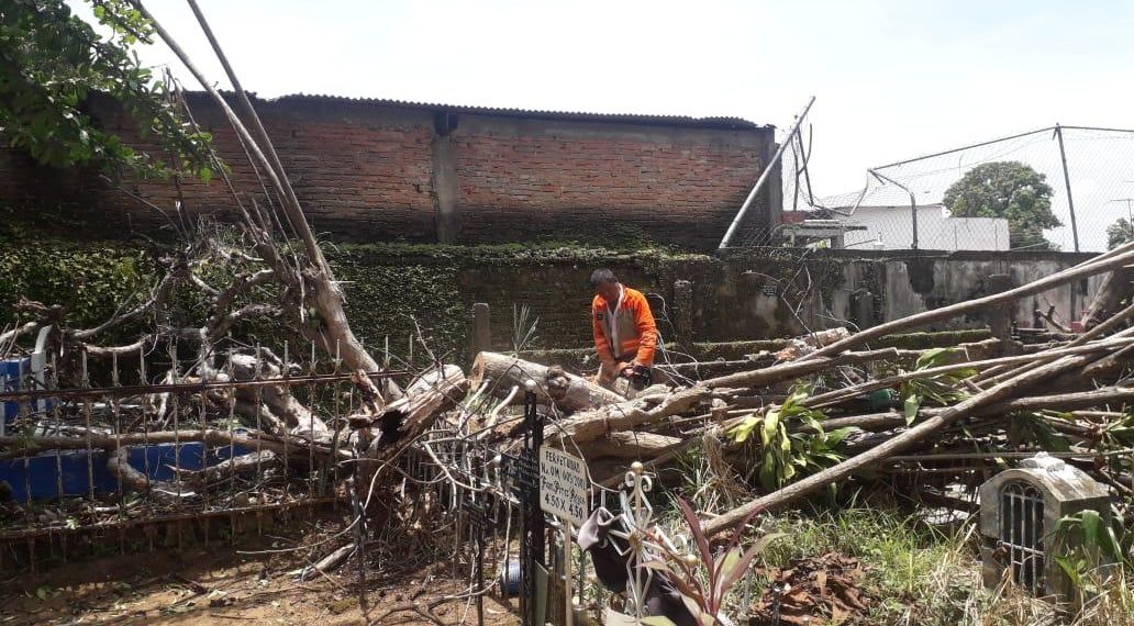 Atienden Afectaciones Por Fuertes Rachas De Viento En Tapachula
