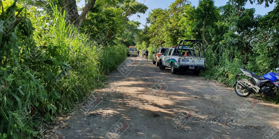 Le robaron caja seca de un predio en el Ejido Álvaro Obregón