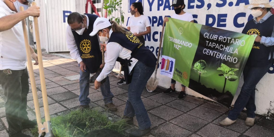 Cuidan El Medio Ambiente Y Fomentan La Reforestación