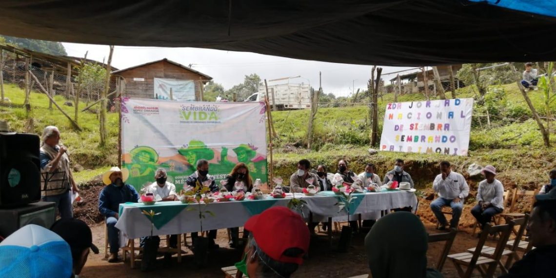 REALIZAN 2ª. JORNADA NACIONAL DE SIEMBRA 2020 “SEMBRANDO VIDA, SEMBRANDO PATRIMONIO”.