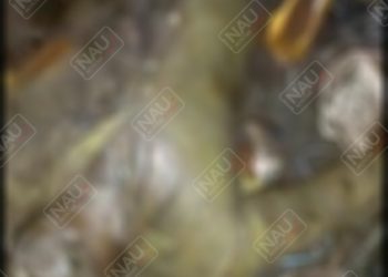 Localizan persona putrefacta en Huixtla