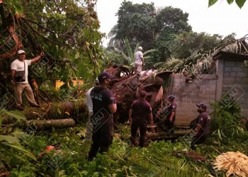 Dos lesionados al caer árbol encima de una casa en Tuxtla Chico