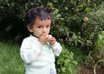 Menor de 2 años fue reportado como desaparecido en Tuzantán