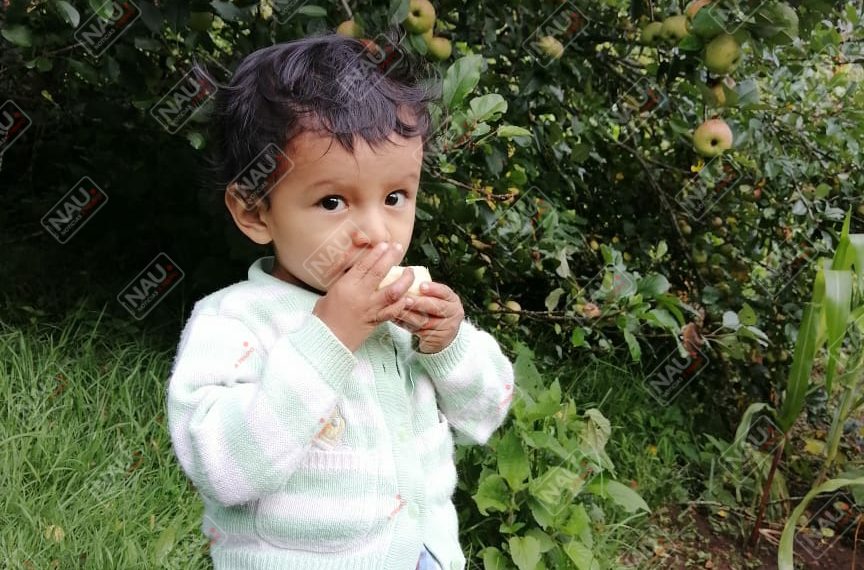 Menor de 2 años fue reportado como desaparecido en Tuzantán