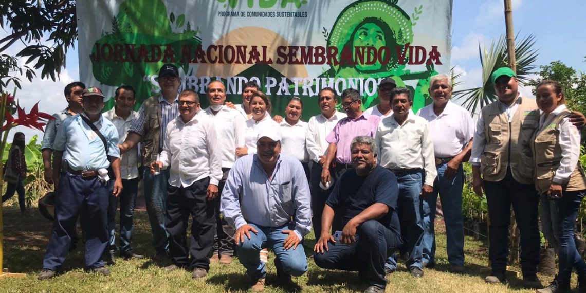 Más De 3 Millones De Plantas Agroindustriales Sembradas En Tapachula