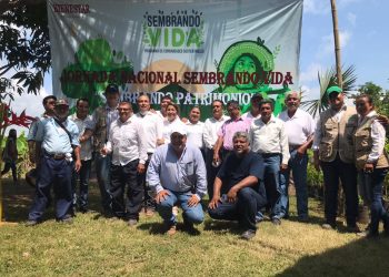 Más De 3 Millones De Plantas Agroindustriales Sembradas En Tapachula