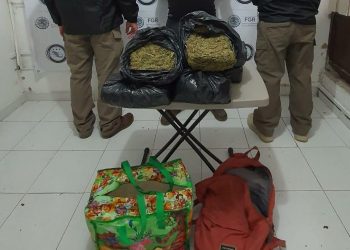 INICIA LA FGR CARPETAS DE INVESTIGACIÓN POR EL ASEGURAMIENTO DE MARIHUANA EN CHIAPAS