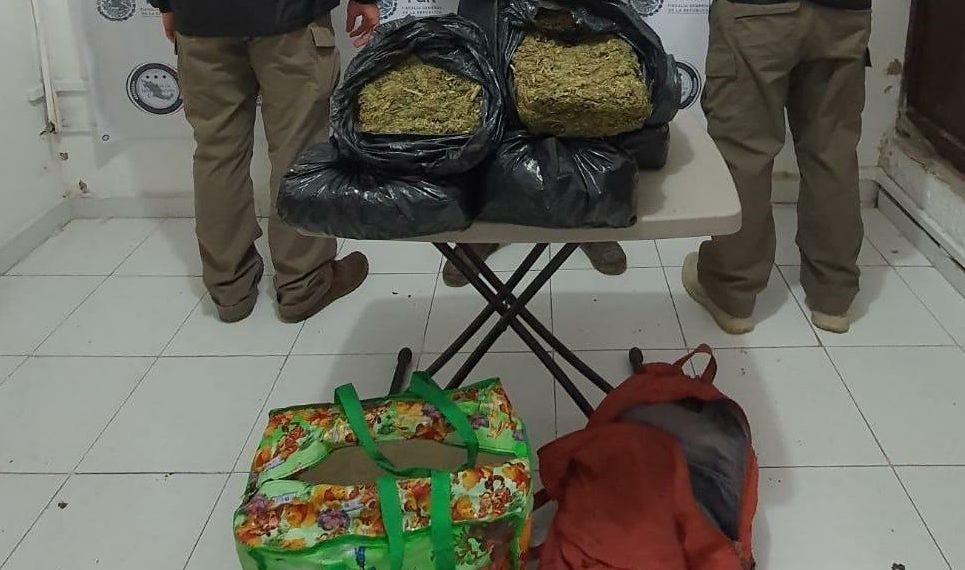 INICIA LA FGR CARPETAS DE INVESTIGACIÓN POR EL ASEGURAMIENTO DE MARIHUANA EN CHIAPAS