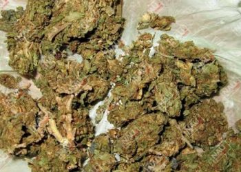 Aseguran 100 gramos de marihuana