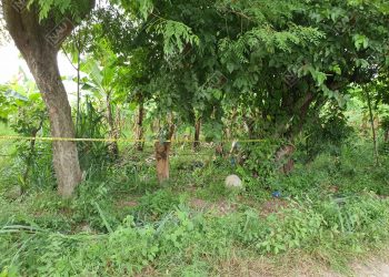 Pleito entre maras y barrio 18, fue el ajuste de cuenta en un rancho en la zona baja