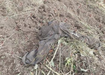 Localizan osamenta en el rancho Santa Teresa