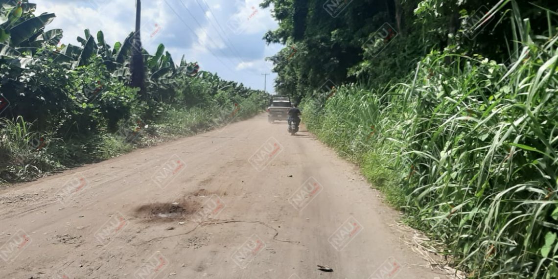 Roban con violencia dos motocicletas