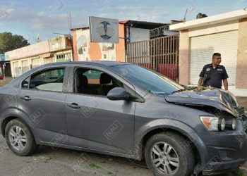 Abandonan un vehículo tras derribar un poste metálico y un árbol de ornato