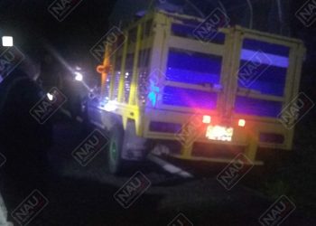 Sujetos armados asaltan a joven en Tuzantán