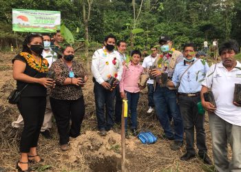 Con Programa Sembrando Vida Se Contribuye A La Soberanía Alimentaria
