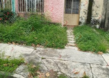 En avanzado estado de putrefacción localizan a una persona