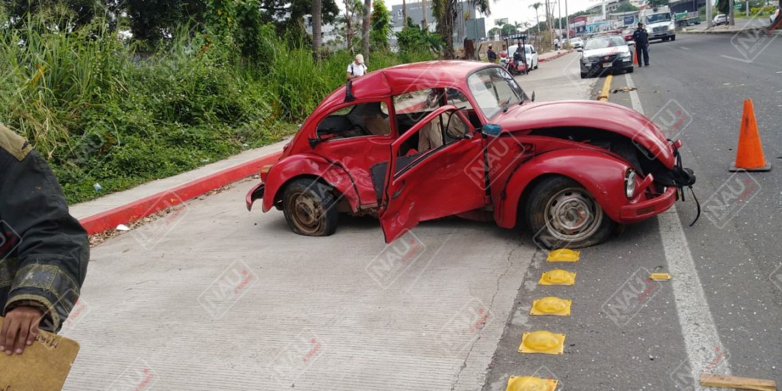Un lesionado y un perro muerto deja accidente