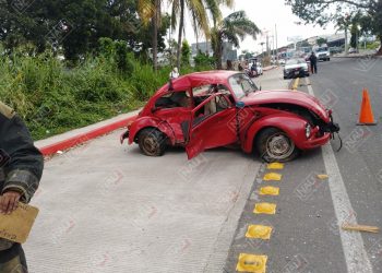 Un lesionado y un perro muerto deja accidente