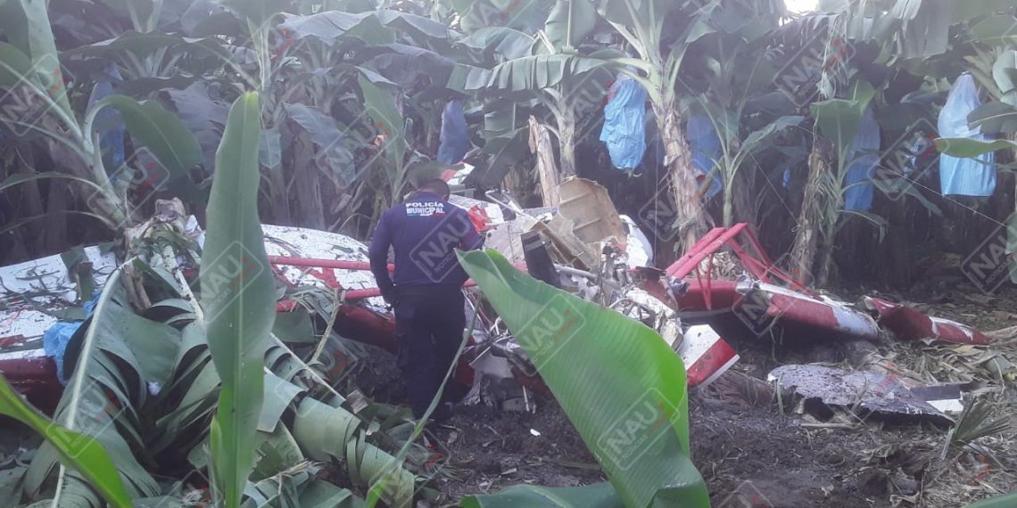 Se desploma avioneta fumigadora