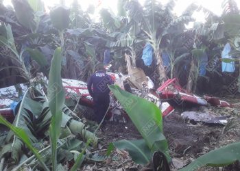 Se desploma avioneta fumigadora