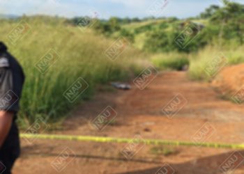 Identifican a la persona asesinada atrás de los campos en Vida