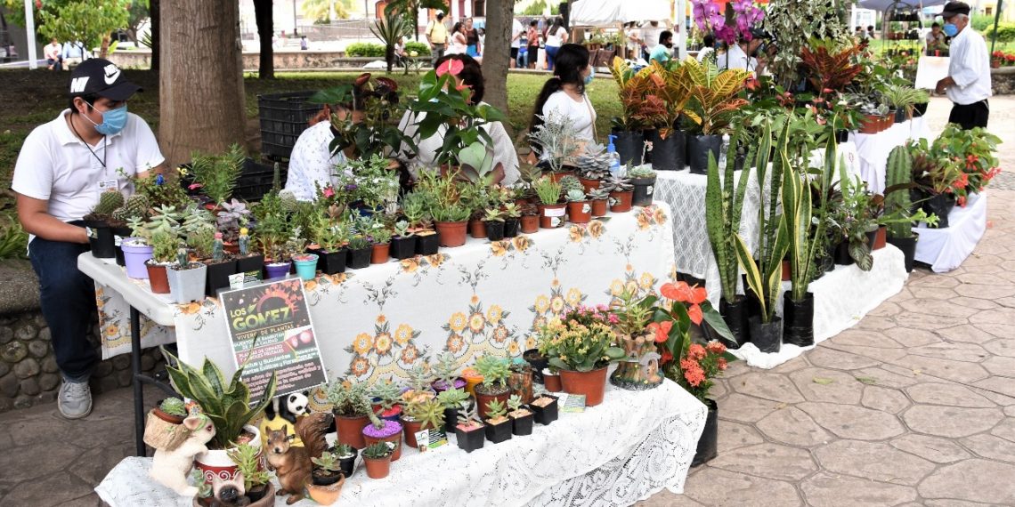 AYUNTAMIENTO DE TAPACHULA IMPULSA LA ECONOMÍA DE PRODUCTORES