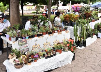 AYUNTAMIENTO DE TAPACHULA IMPULSA LA ECONOMÍA DE PRODUCTORES