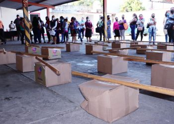 DIF TAPACHULA PROMUEVE LA PRODUCCIÓN DE ALIMENTOS CON HUERTOS FAMILIARES